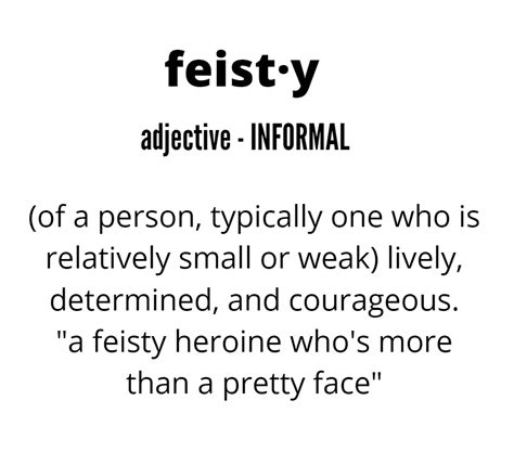 feisty definition